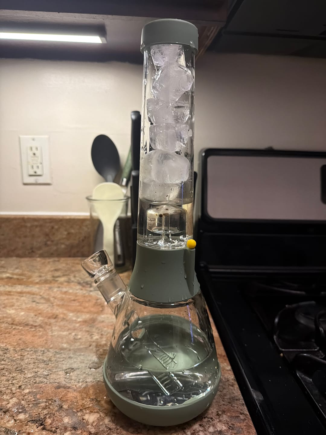 Customer photo review of The Bong Pro - Sage