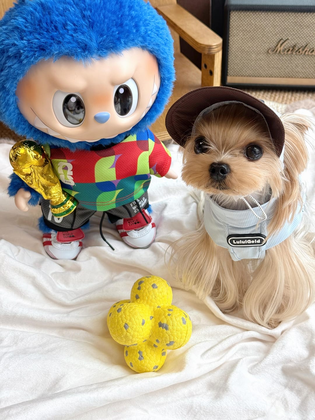 Customer photo review of Pawtique BounceBright™ Textured Fetch Toy