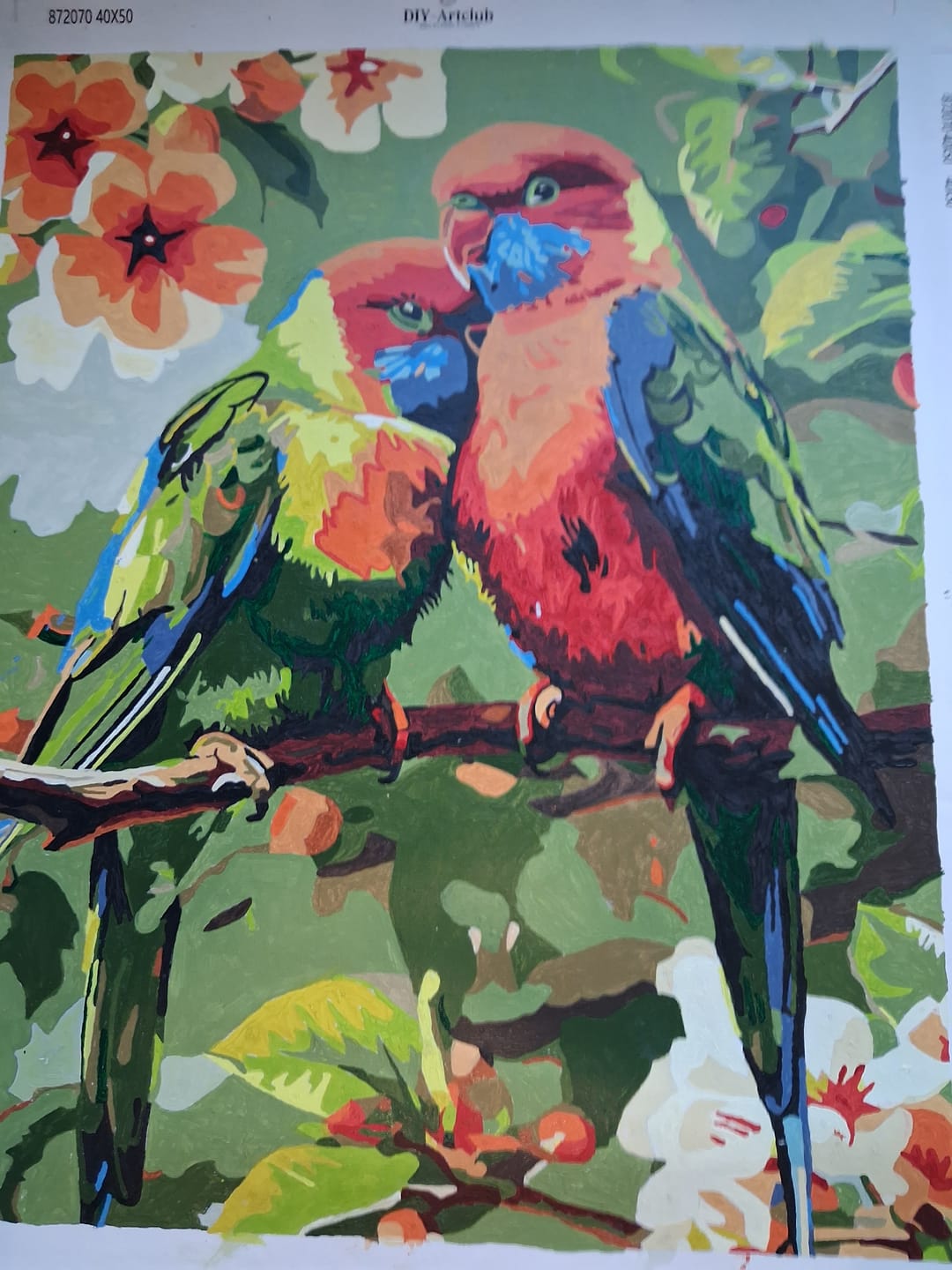 Customer photo review of 2 Colorful Birds | Paint by Numbers
