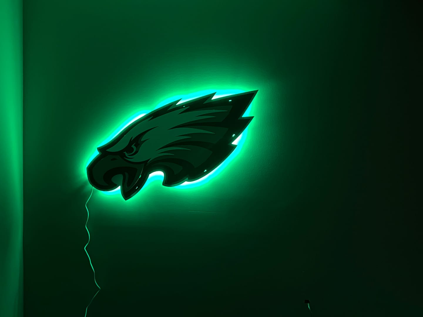 Customer photo review of Philadelphia Eagles Mascot 3D Vintage Metal Wall Art