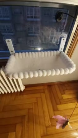 Customer photo review of Cat Hammock