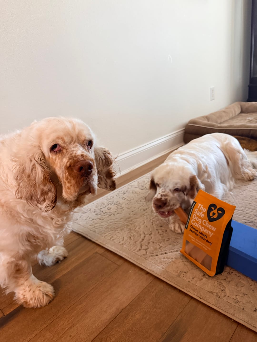 Customer photo review of Pumpkin Yak Chew — Fiber-Rich, Supports Digestion Naturally