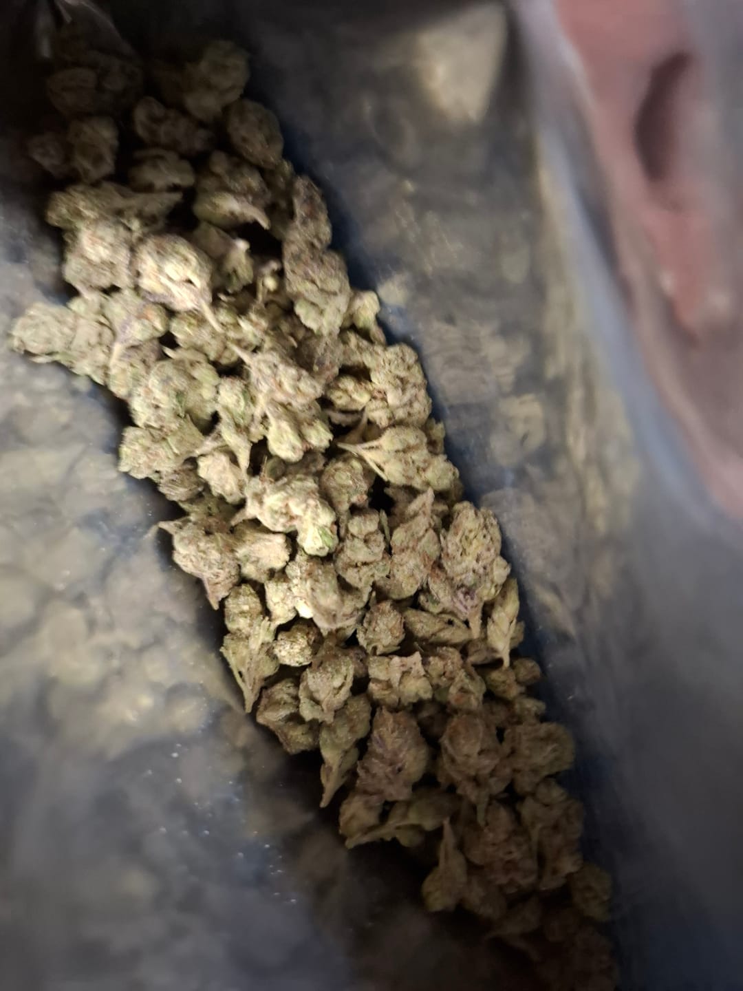 Customer photo review of Light Assist THCA Smalls