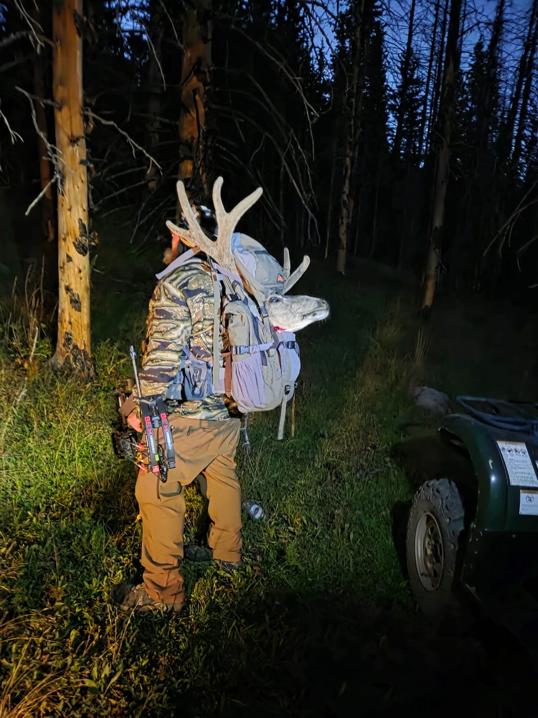Customer photo review of Pannier Load Carrier