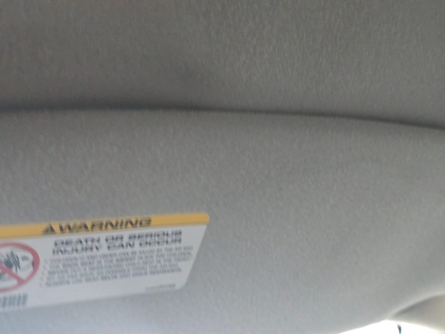 Customer photo review of Interior Cleaner & Protectant