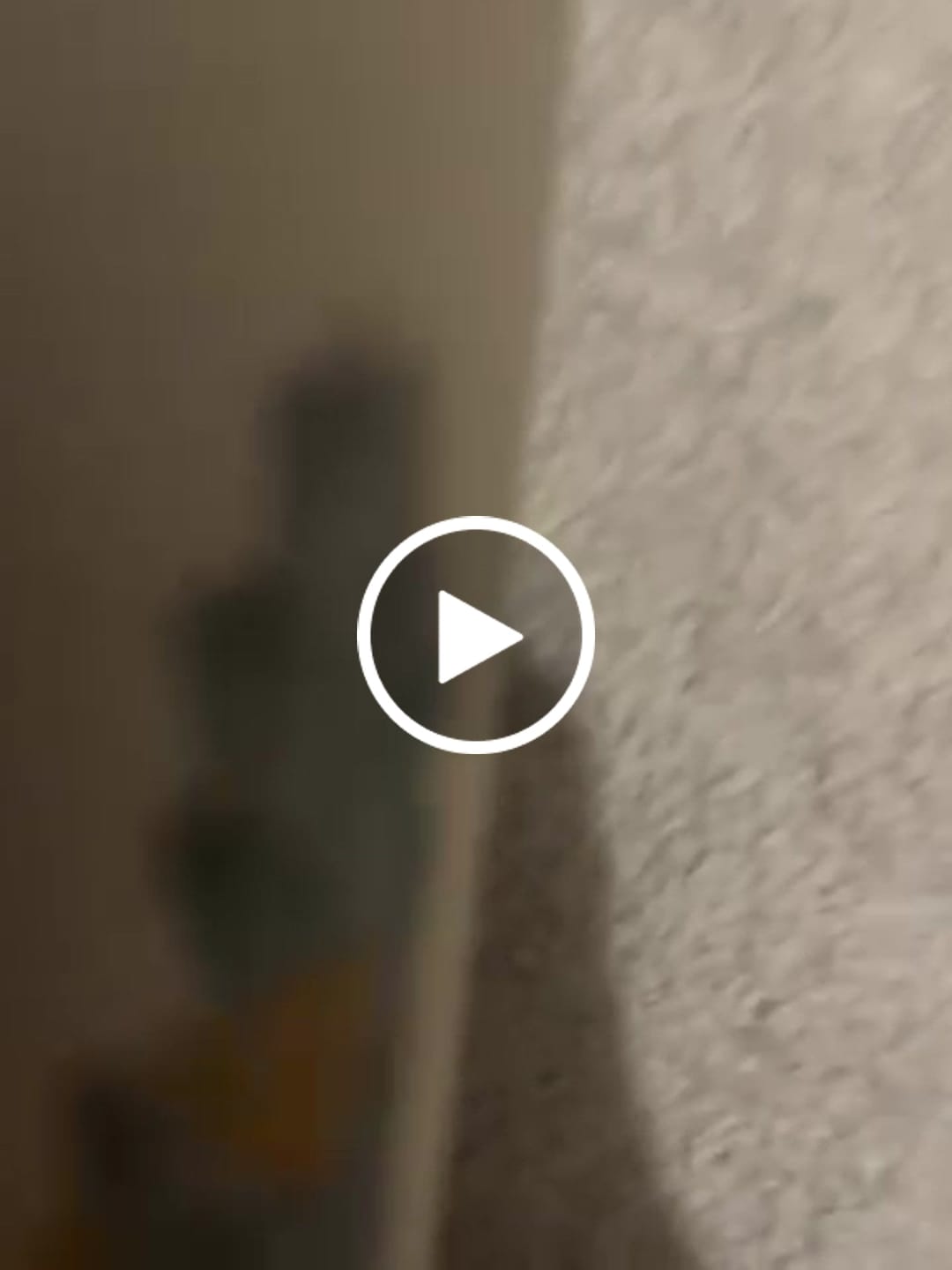 Customer video review of Multi Strain Biotic