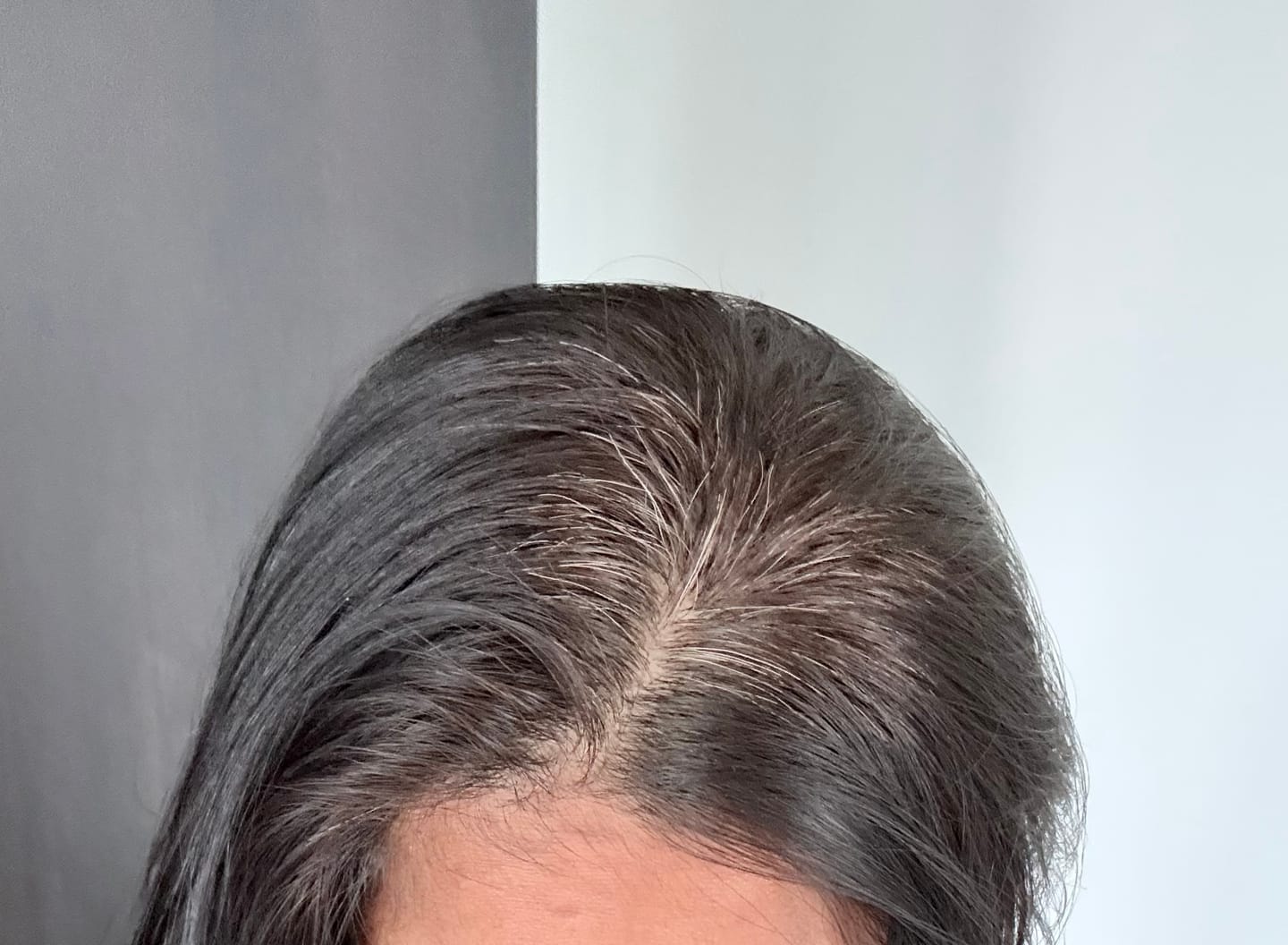 Customer photo review of Instant Dye Shampoo