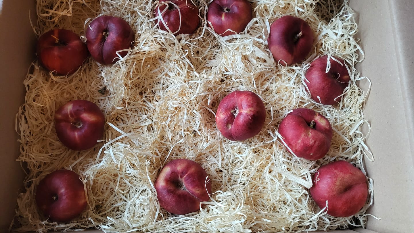 Customer photo review of Weinberg-Nektarinen Platerinos Bio 2kg Box