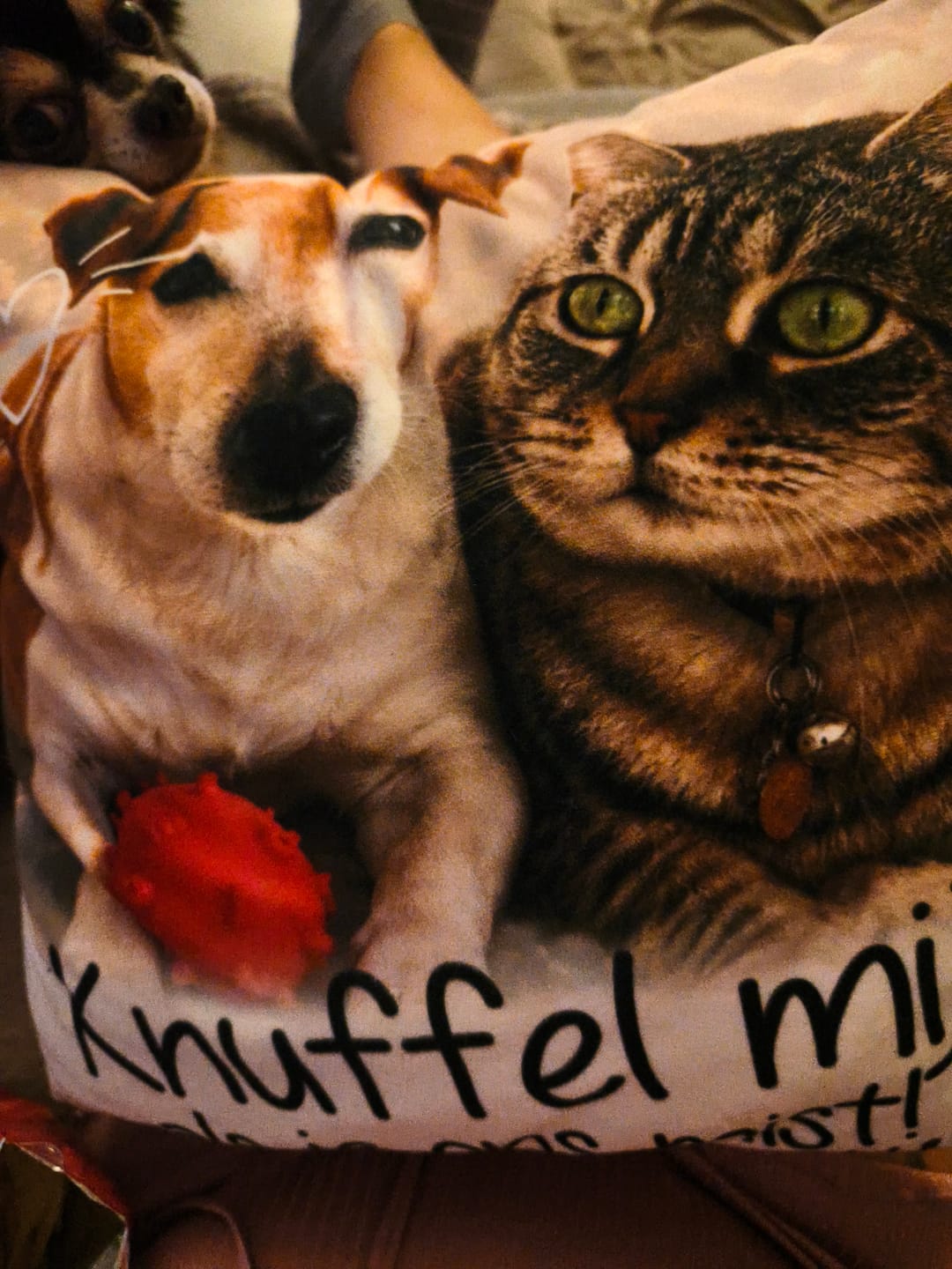 Customer photo review of Knuffel mij als je me mist - Gepersonaliseerde kussen