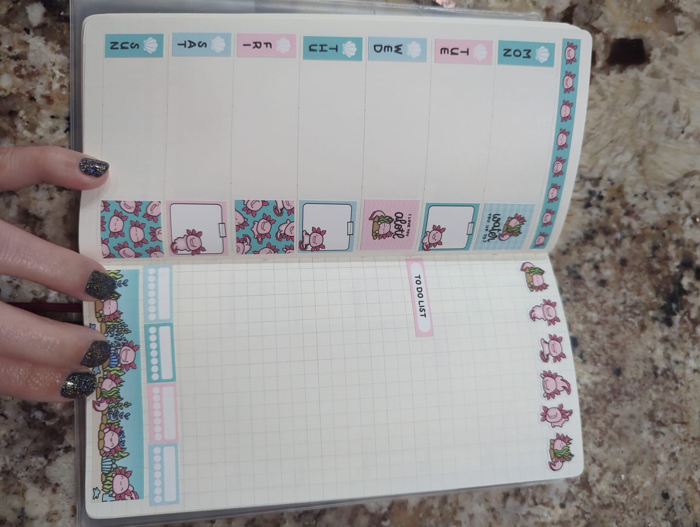 Customer photo review of Happy Axolotl Theme Hobonichi Weeks Kit