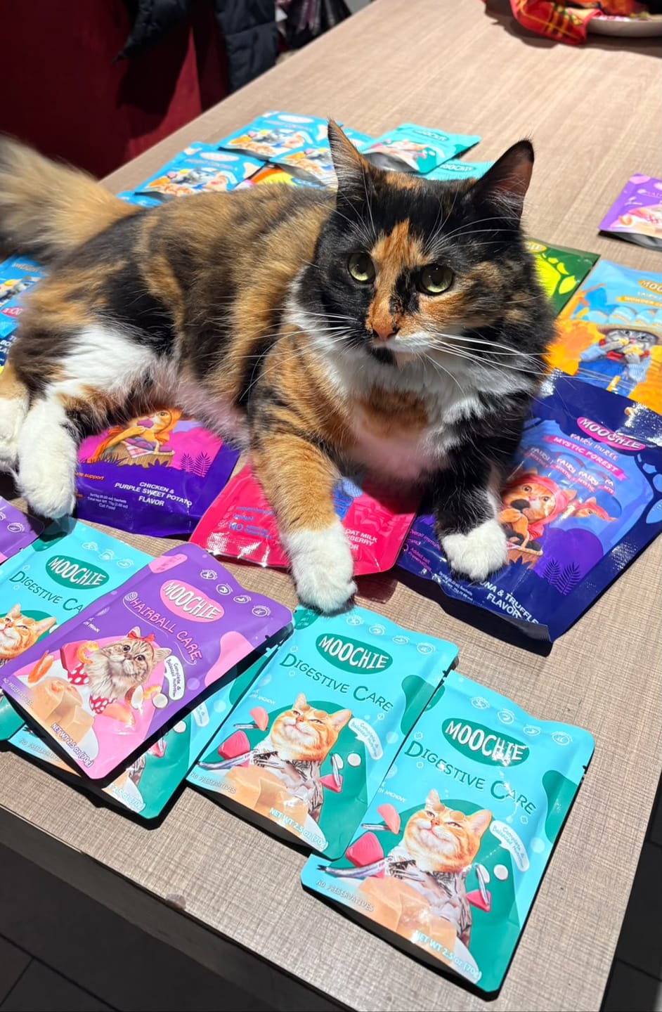 Customer photo review of MOOCHIE TUBO GATO LANGOSTA Y ATUN 75GR