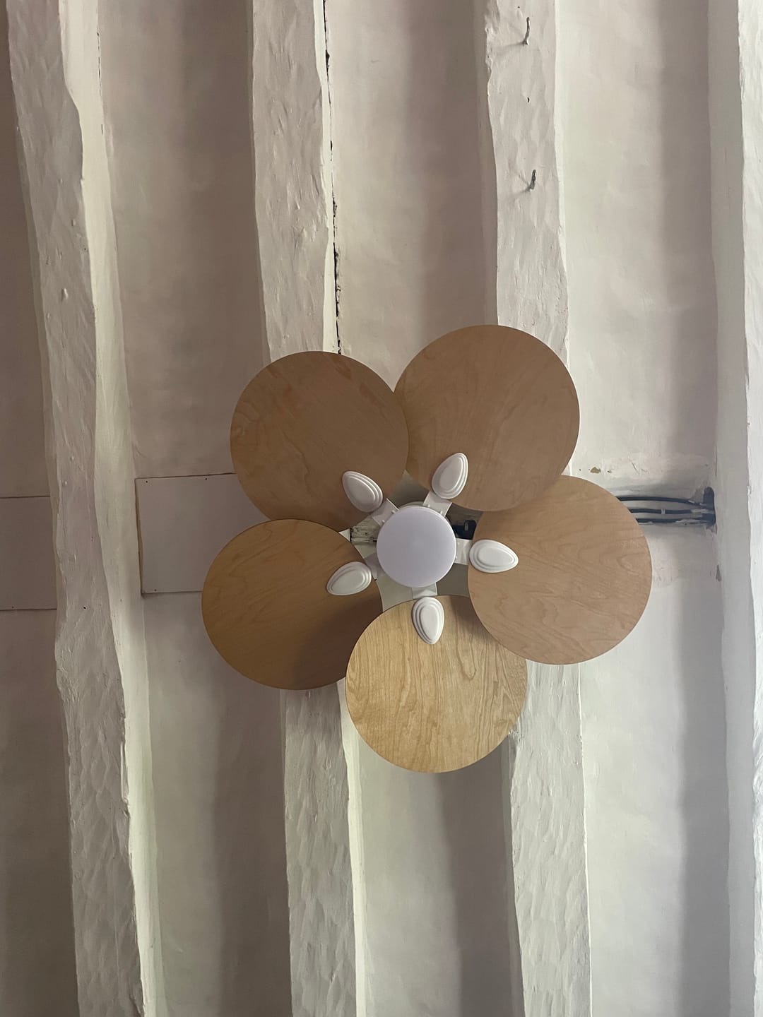 Customer photo review of Lotus | Ventilateur de plafond