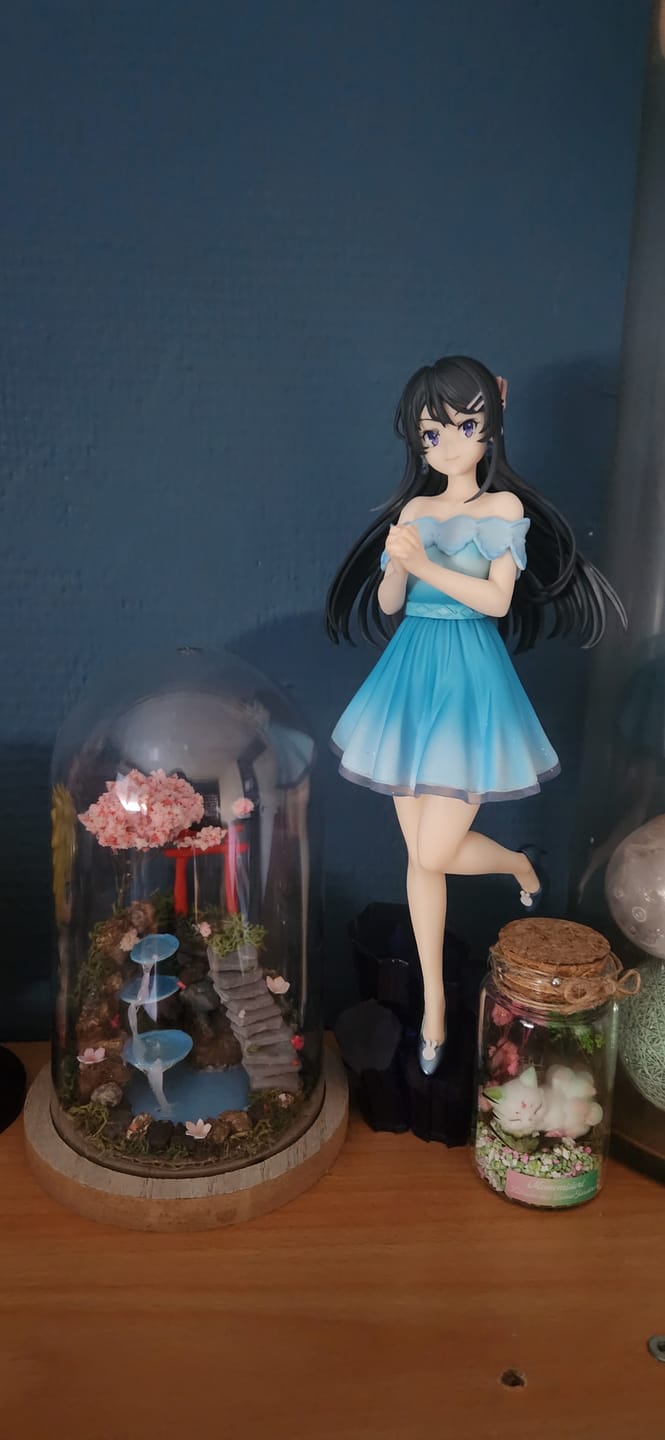 Customer photo review of Seishun Buta Yarou wa Bunny Girl Senpai no Yume wo Minai elCOCO Sakurajima Mai Houseki Ver.