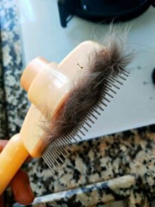 Customer photo review of PatiÖdül™ Masaj Etkili Tüy Temizleyici