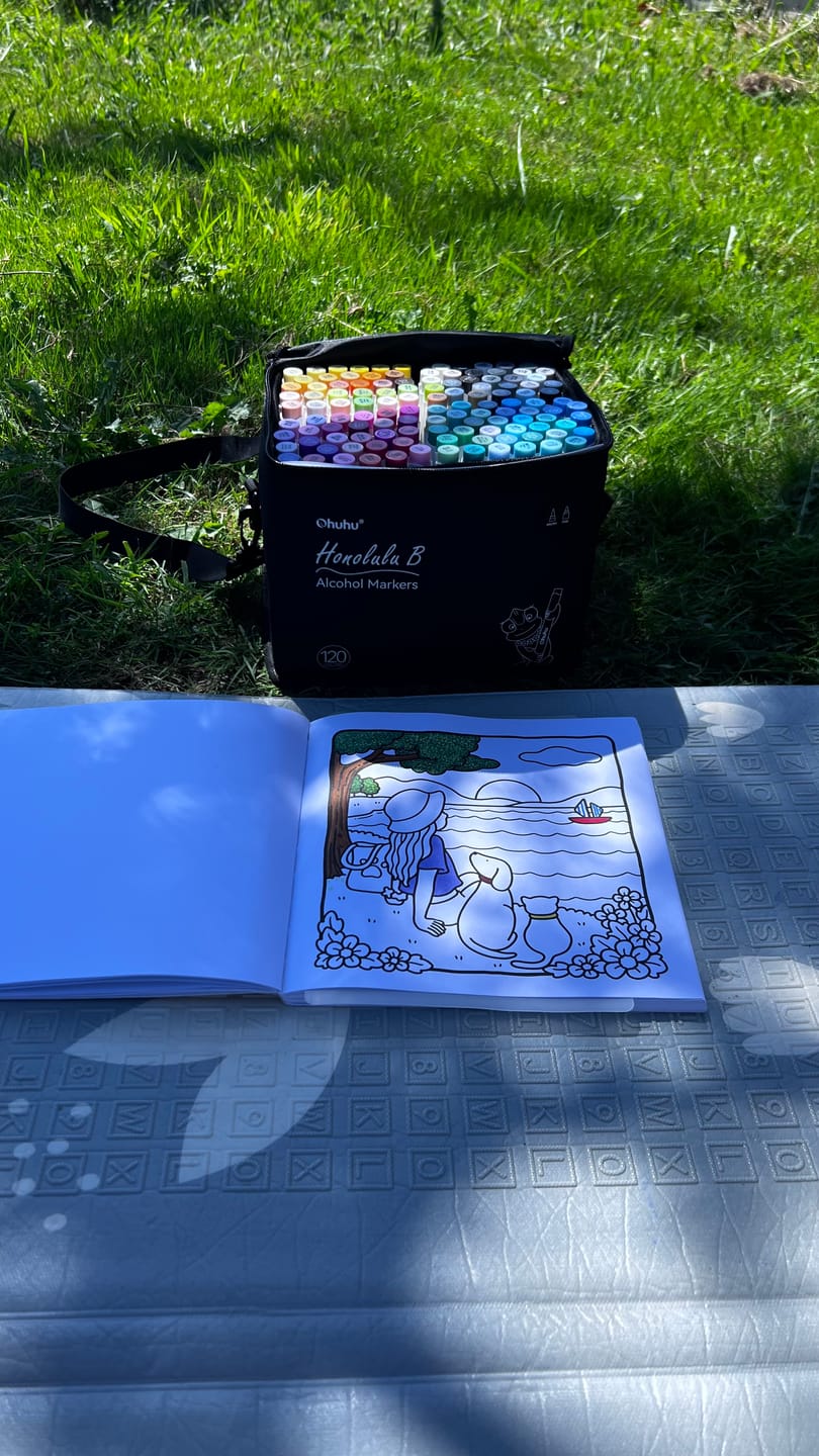 Customer photo review of Ohuhu Honolulu 120 Colors Dual Tips Alcohol Art Markers (New Color Codes)