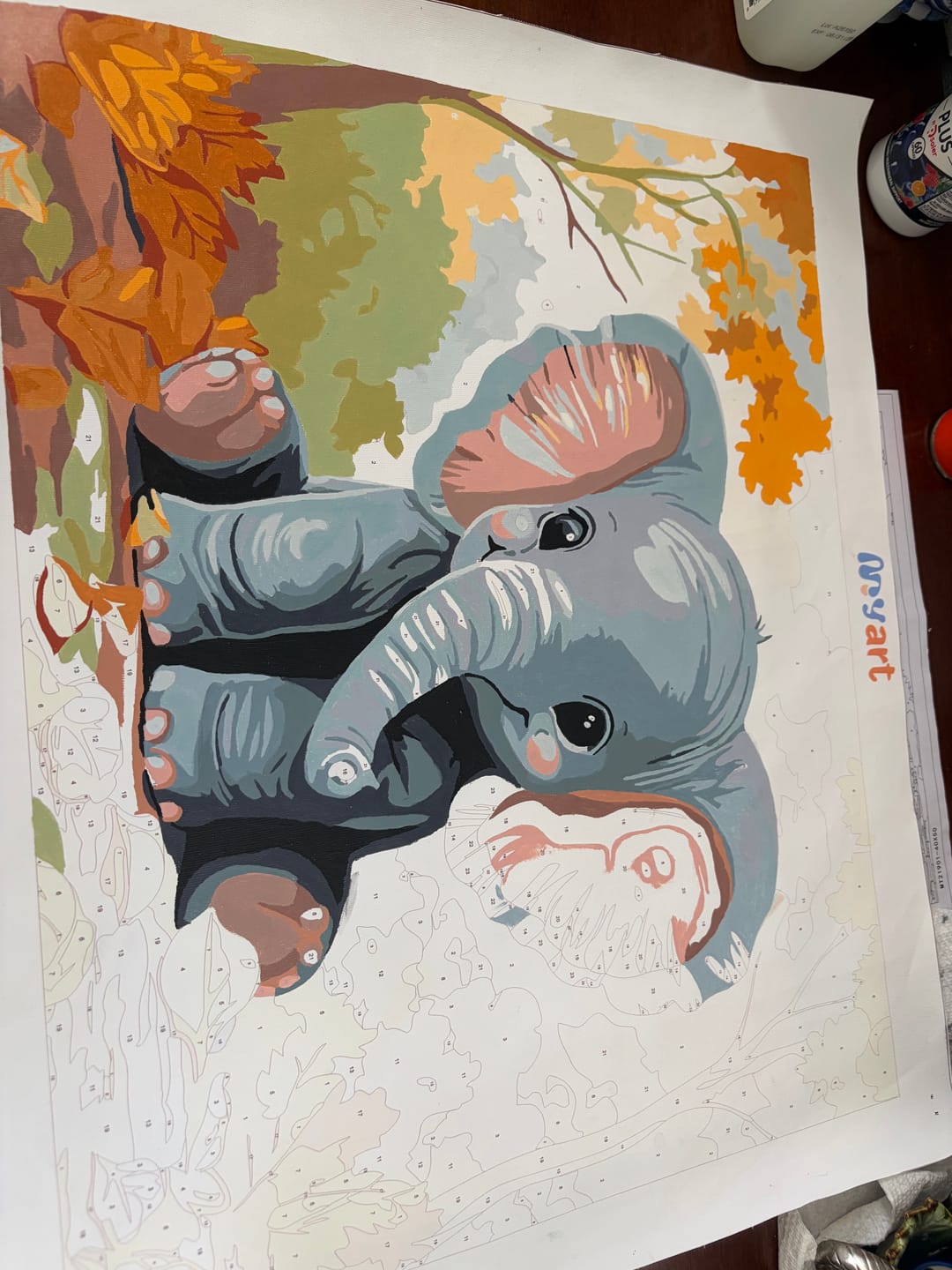 Customer photo review of Charming Elephant