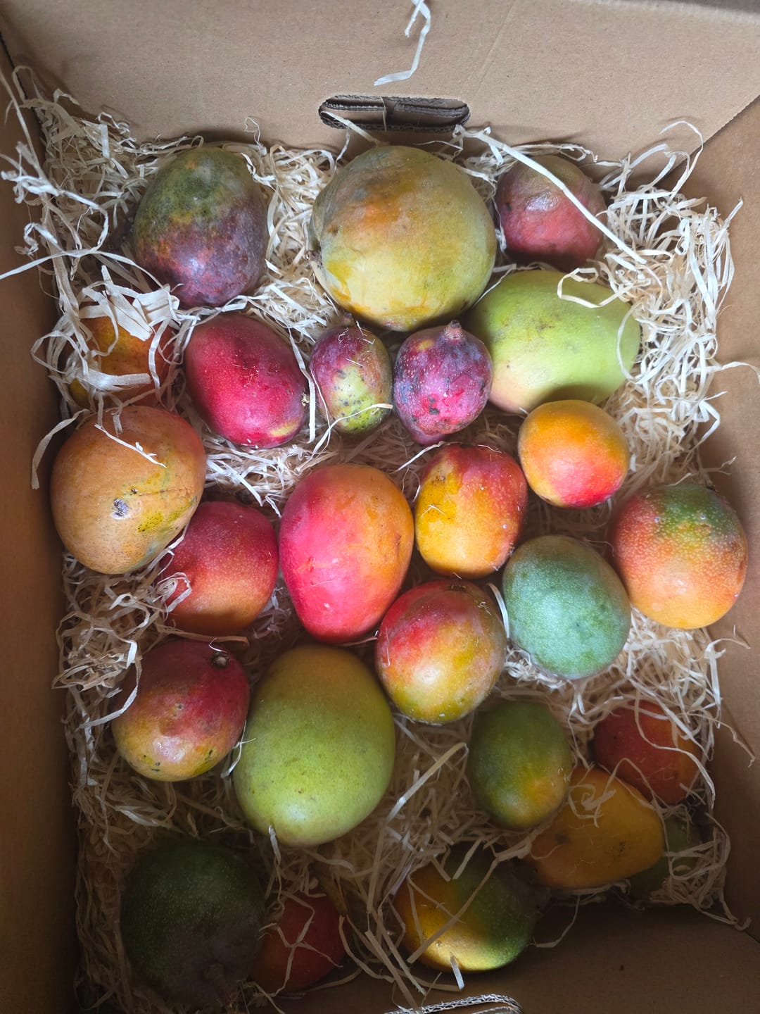 Customer photo review of Baby-Mango Mix von Julian Retter-Box
