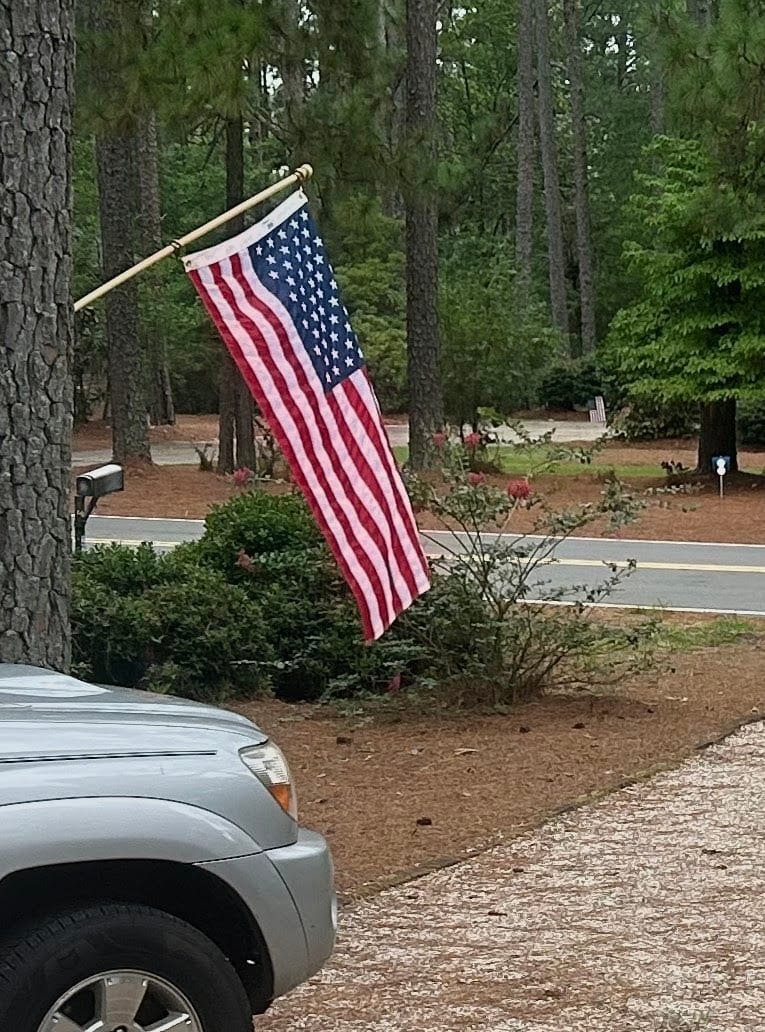 Customer photo review of 3' x 5' American Flag Set