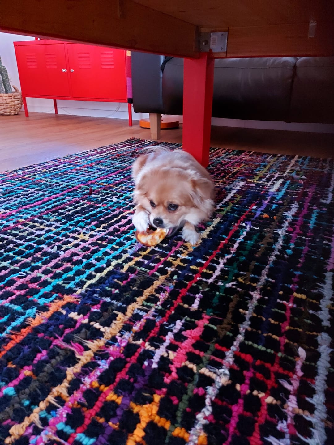 Customer photo review of Assorterede bamser, 1 stk. (small)