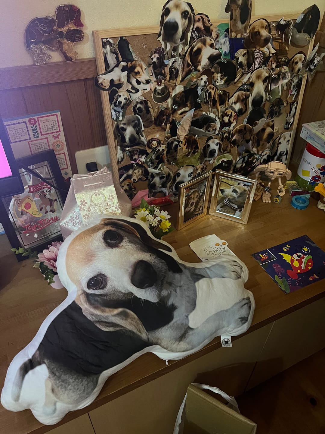 Customer photo review of 世界にひとつだけ♪好きな写真で作るオーダーメイドクッション（20～80cm）