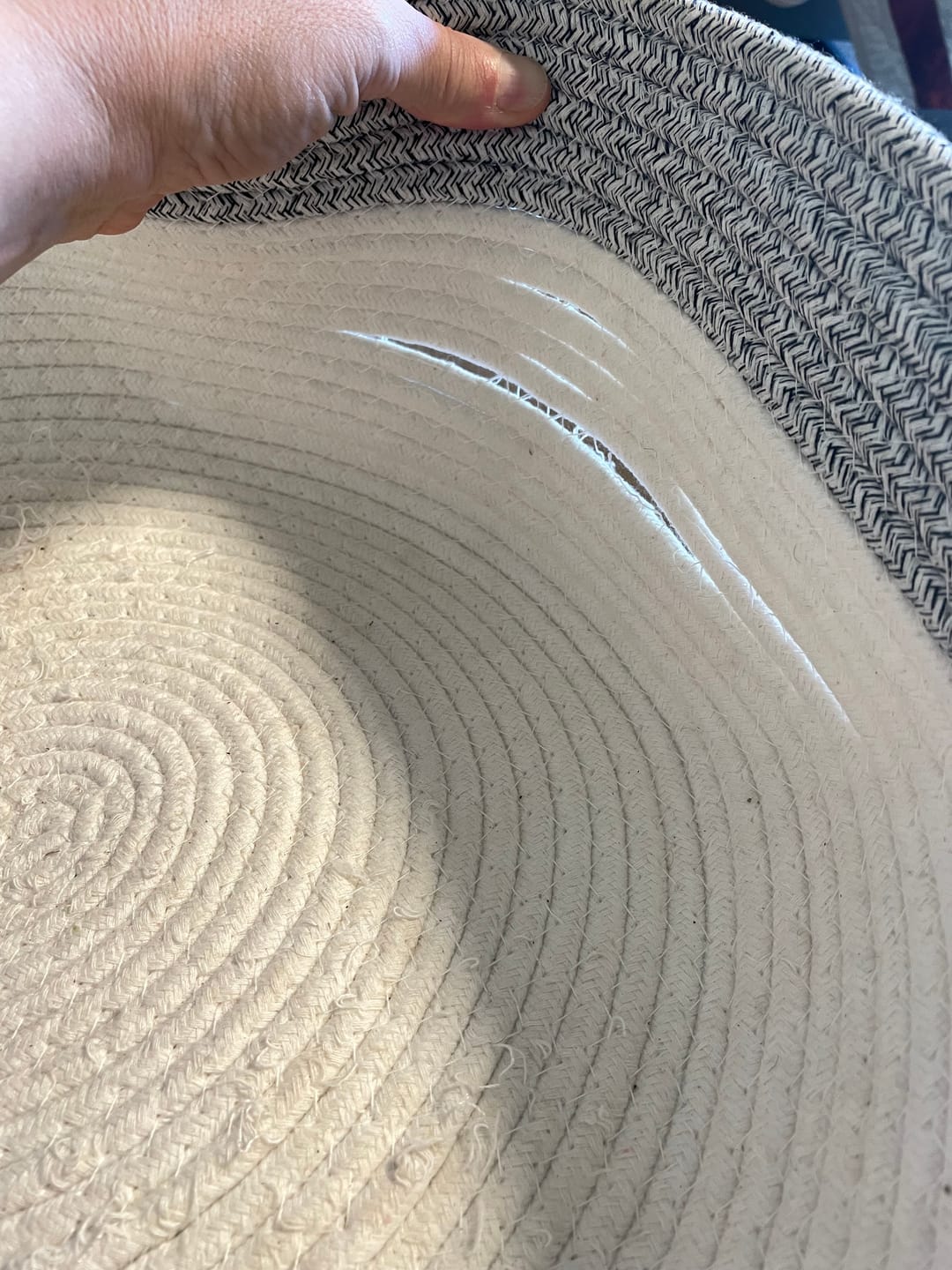 Customer photo review of Instinct Basket | Meet the first research-backed natural territory for indoor cats
