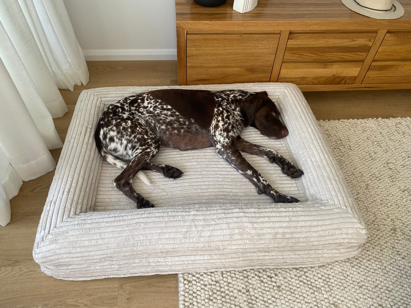 Customer photo review of Finally, a bed that works as hard as your dog does.